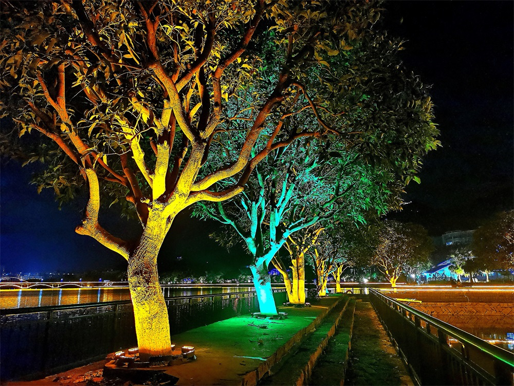 2021景區(qū)樹上多色微光能景觀燈