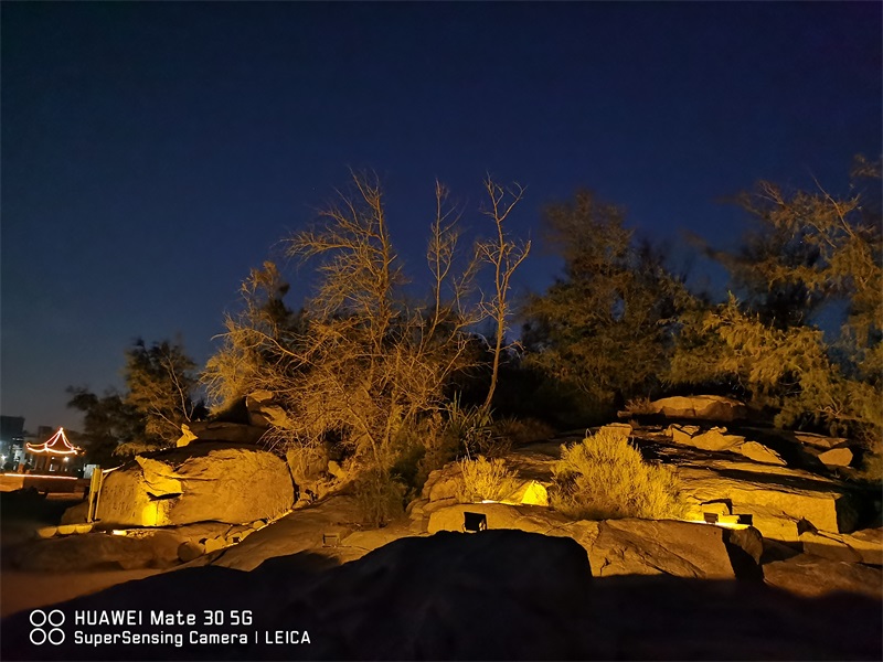 2022太陽能無電亮化夜景公園景觀燈夜景